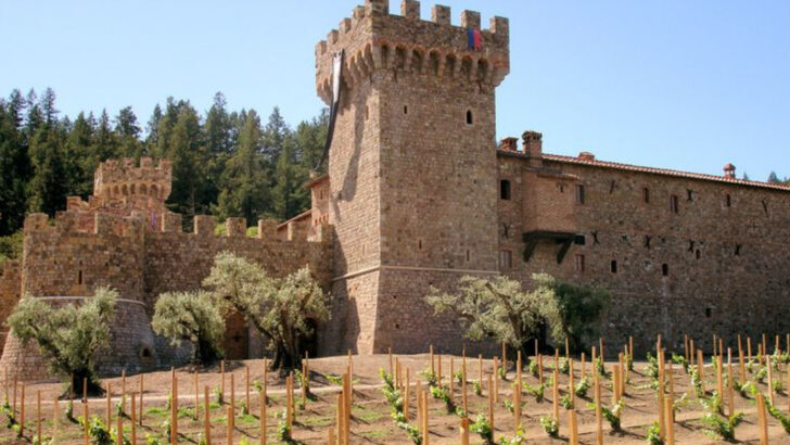 Gen X vacationers are behind the rising popularity of these 13 winter wine-country escapes