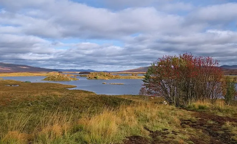 Rannoch Moor