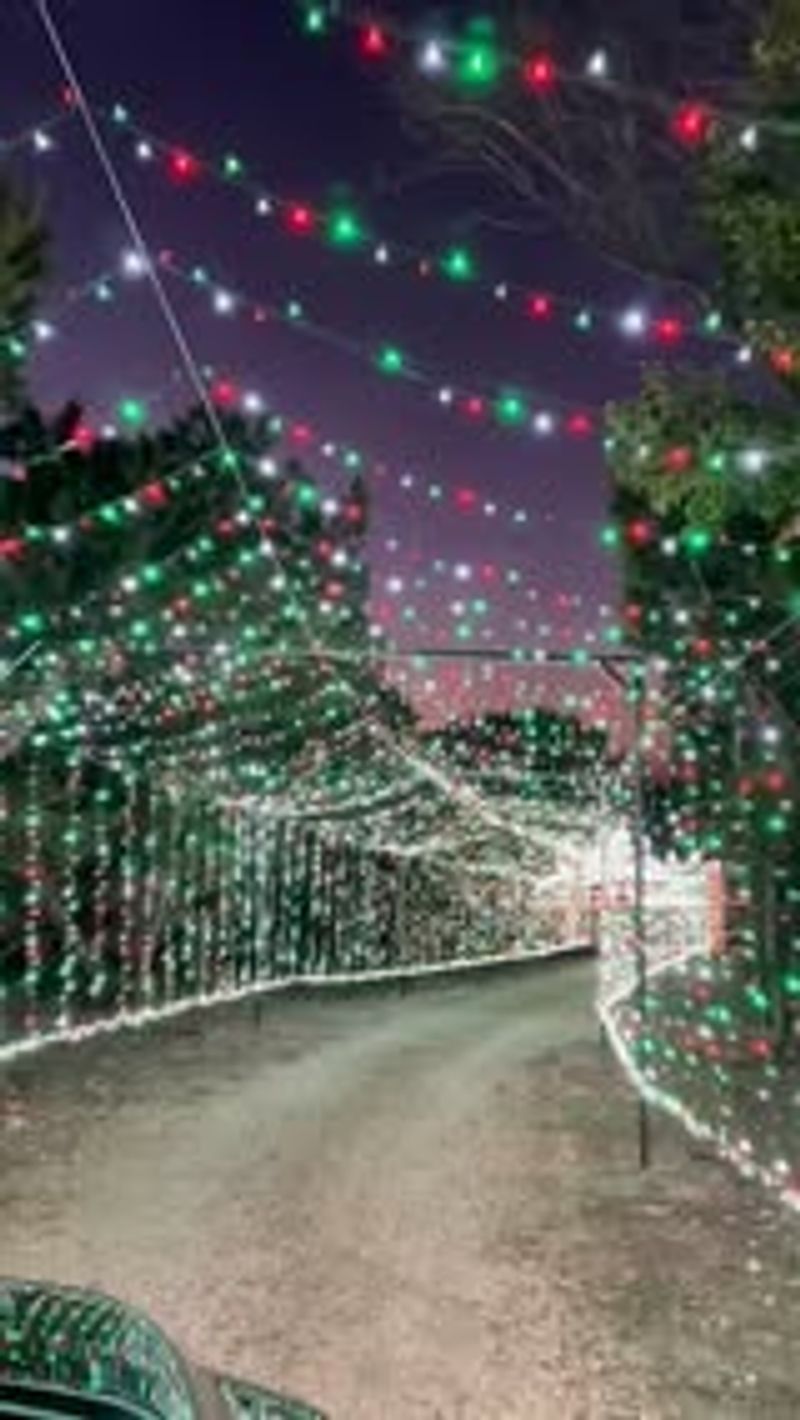 Santa’s Ranch – Drive-Thru Christmas Light Park (New Braunfels, TX)