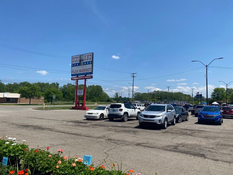 Rocks, Minerals, and Geodes for Collectors