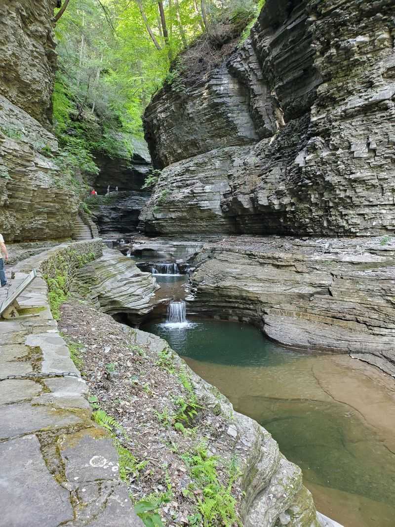 Watkins Glen
