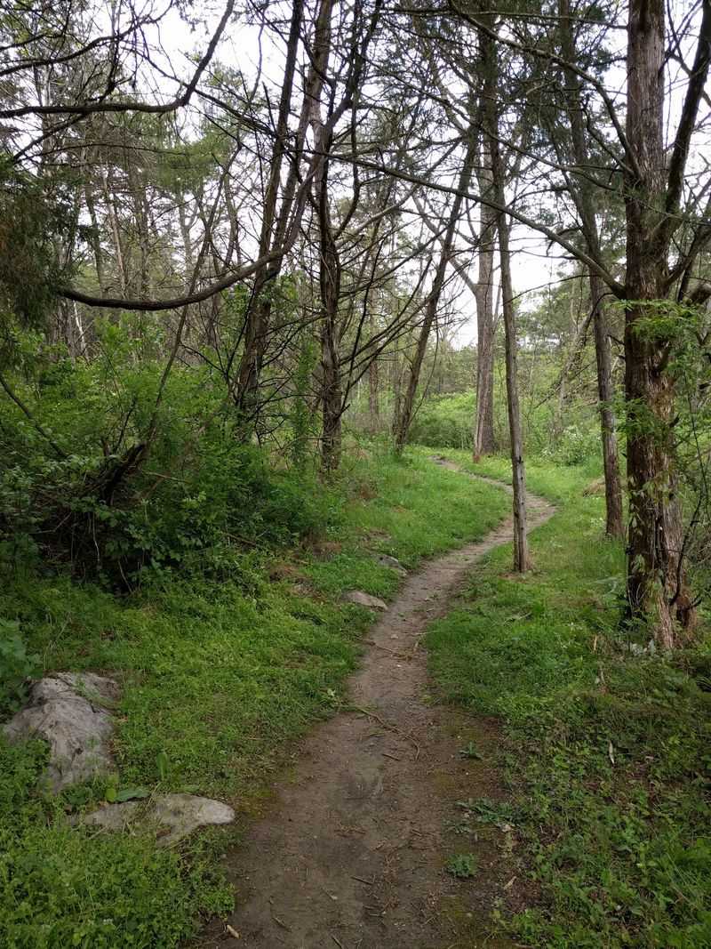 Rocktown Trails at Hillandale Park