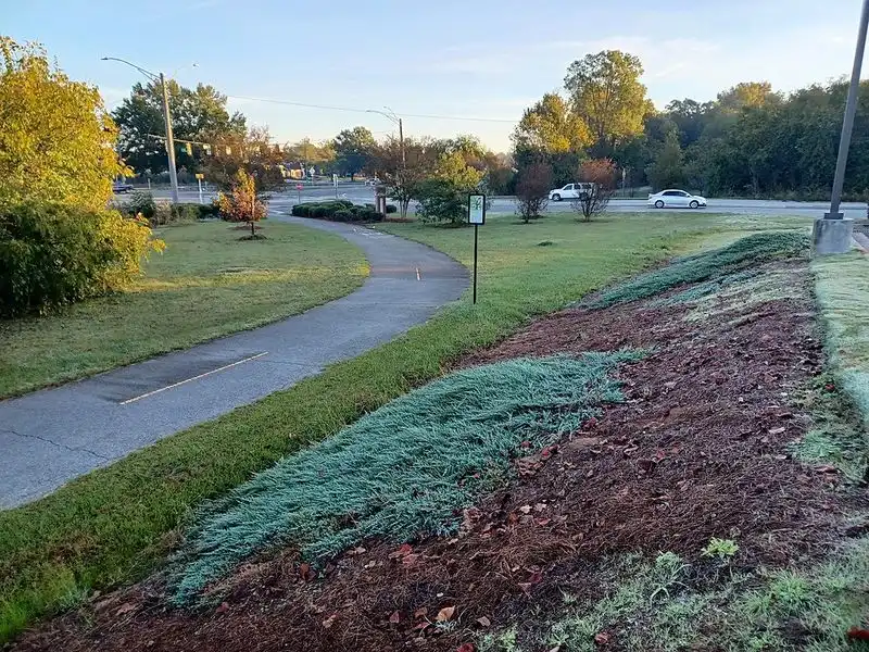 Industrial Decline and the Seeds of Renewal