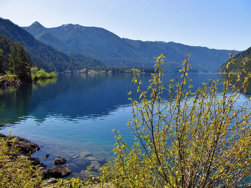 Lake Crescent