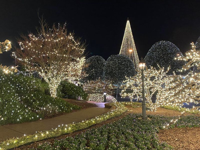 Drive-Through and Neighborhood Light Shows