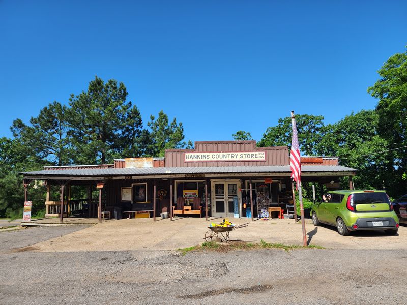 Hankins Country Store (Russellville)