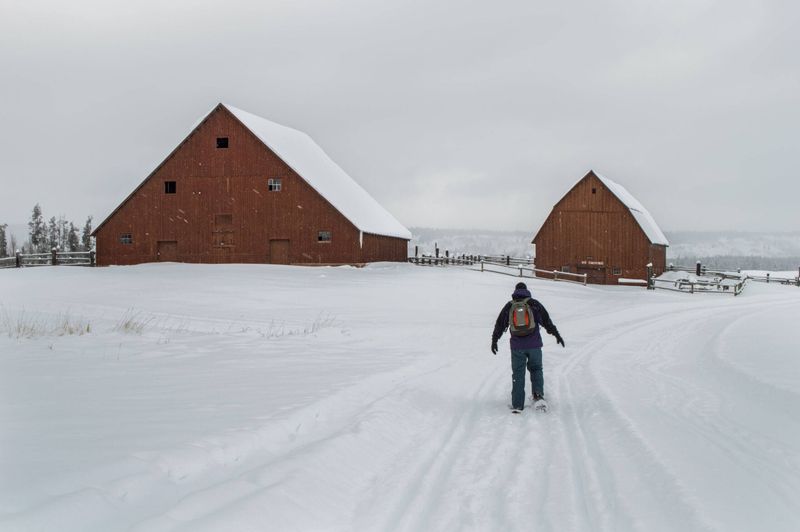Winter Magic: Nordic Skiing, Fat Biking, and Snowshoeing