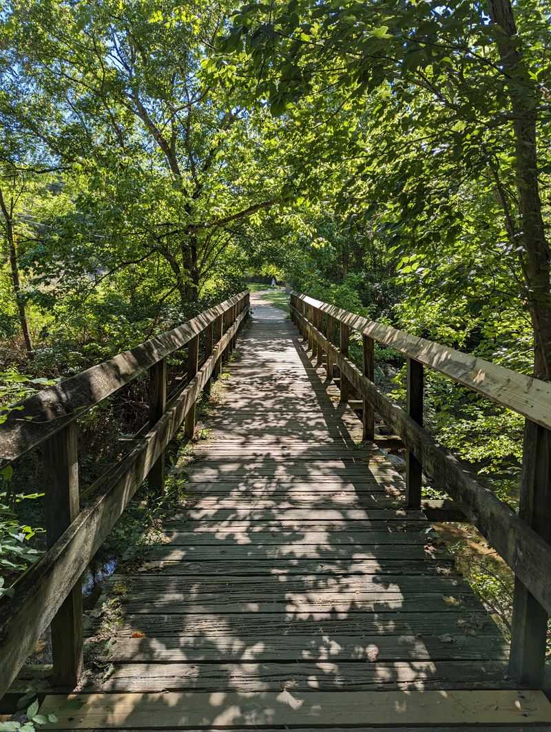 Chessie Nature Trail River Ramble
