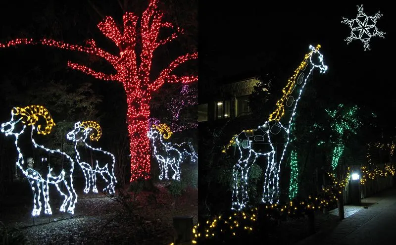 Zoo Lights at Houston Zoo