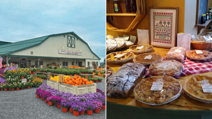 I Took a Slow Drive Through Pennsylvania’s Backroads To Find 9 Pie Shops (And 3 Could Turn Anyone Into a Regular)