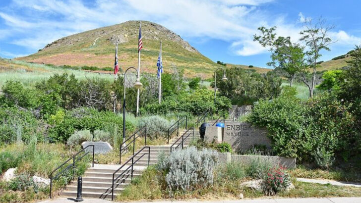 I Visited Salt Lake City With Low Expectations — and Left Completely Surprised