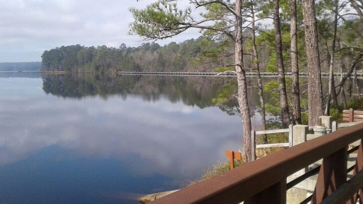 I spent one quiet winter weekend in 8 South Carolina towns and still think about them