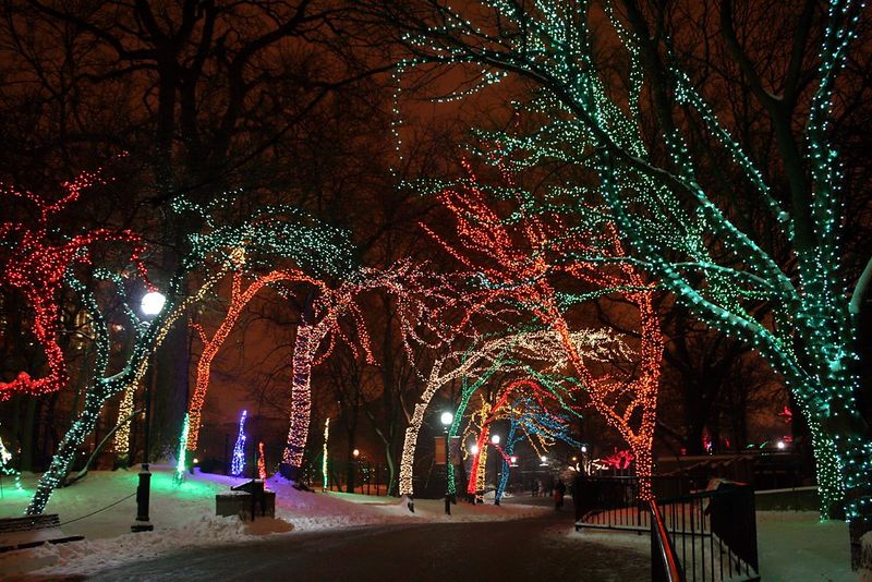ZooLights at Lincoln Park Zoo