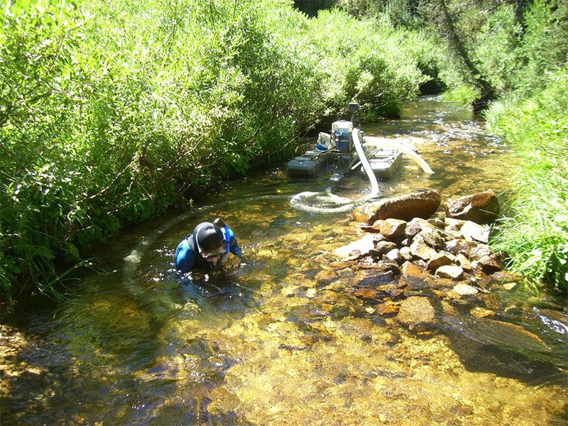 Gold Panning at Grimes Creek