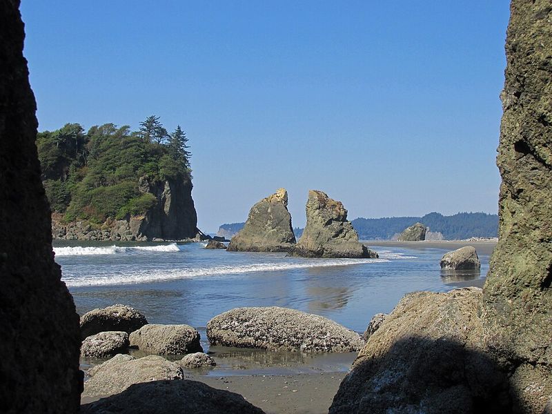 Collecting shells or rocks in protected beaches