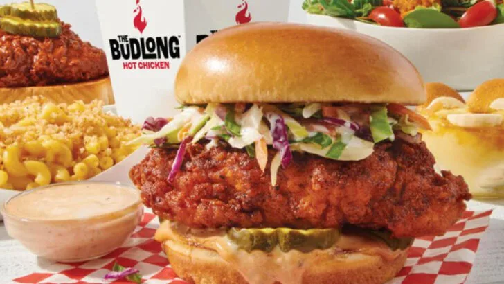 Illinois Fast Casual Restaurants That Deliver Big Flavor Without the Fuss