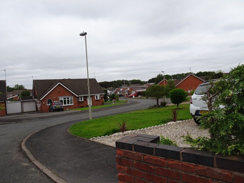 Modern Trends and Future Outlook