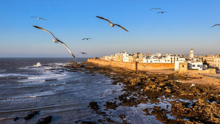 In Africa, 13 of the Friendliest Destinations make visitors feel right at home