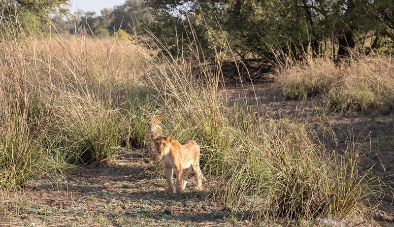 Pendjari National Park, Benin