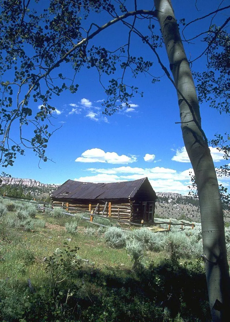 Miner&rsquo;s Delight, Wyoming
