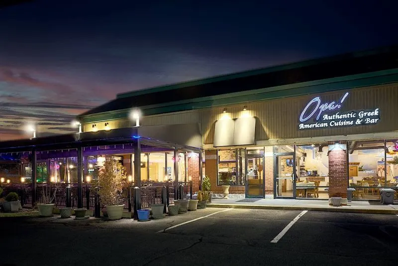 Opa! Authentic Greek Cuisine