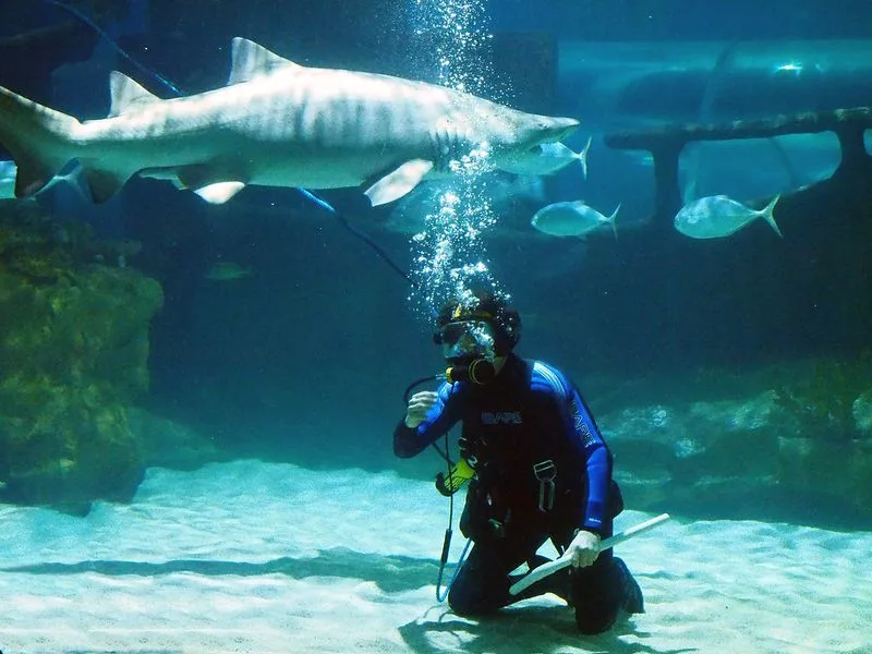 The Cleveland Aquarium