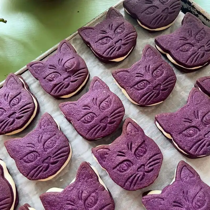 Early Bird Biscuit Co.