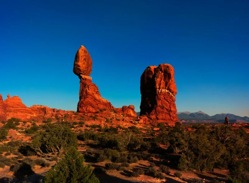 Visiting a National Park and Earning a Junior Ranger Badge