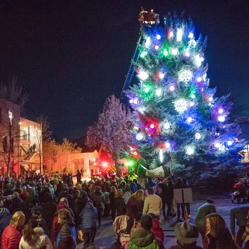 Slow Evenings, Simple Joys