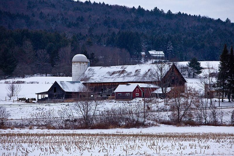 Waitsfield (Mad River Glen)