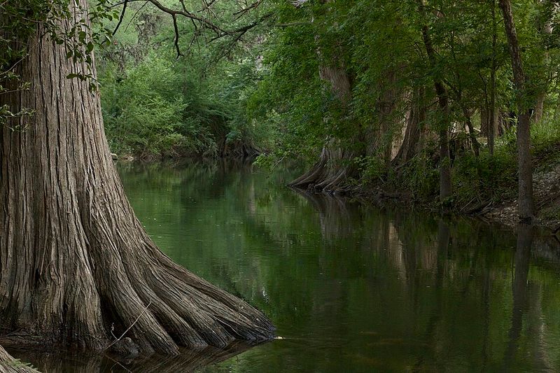 Step Into Nature: Cibolo Creek & the Trails