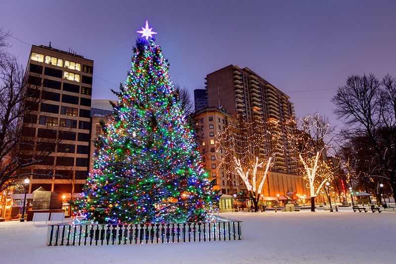 Massachusetts – Boston Common Christmas Tree