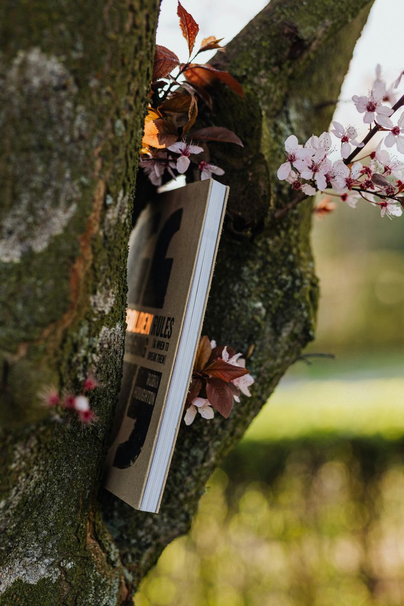 Story of the Oldest Tree