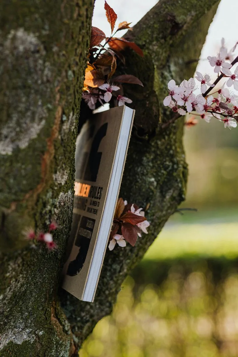 Story of the Oldest Tree