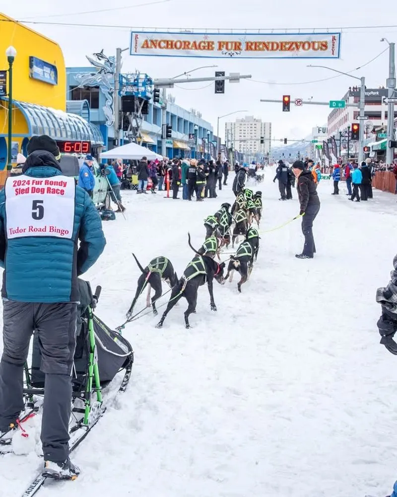 Anchorage Fur Rendezvous and World Championship Sled Dog Races, Alaska