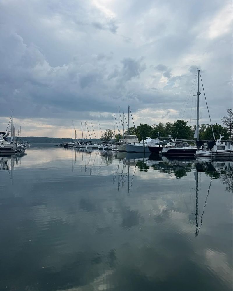 Waterfront & Marina Park