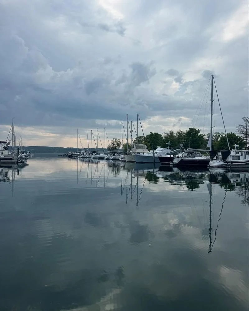 Waterfront & Marina Park