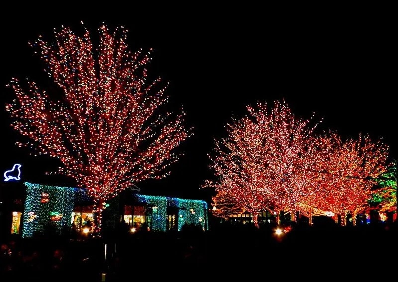 Lincoln Park ZooLights