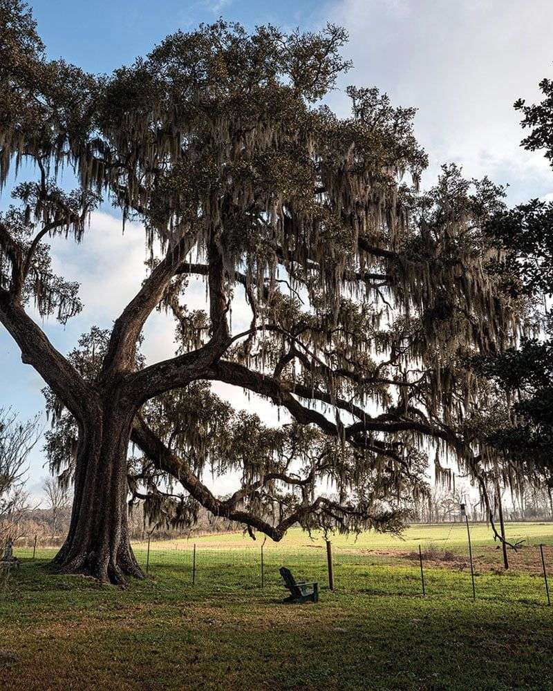 Commercializing Spiritual Sites