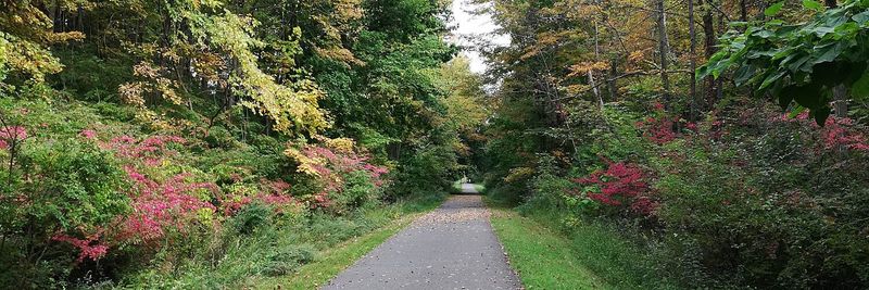 Putnam Trailway Access and Nearby Loops