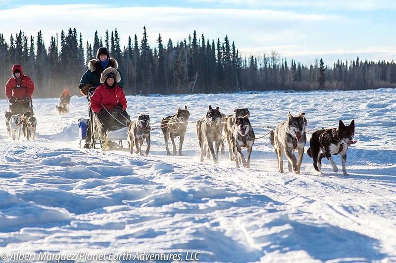 Dog Mushing Adventures