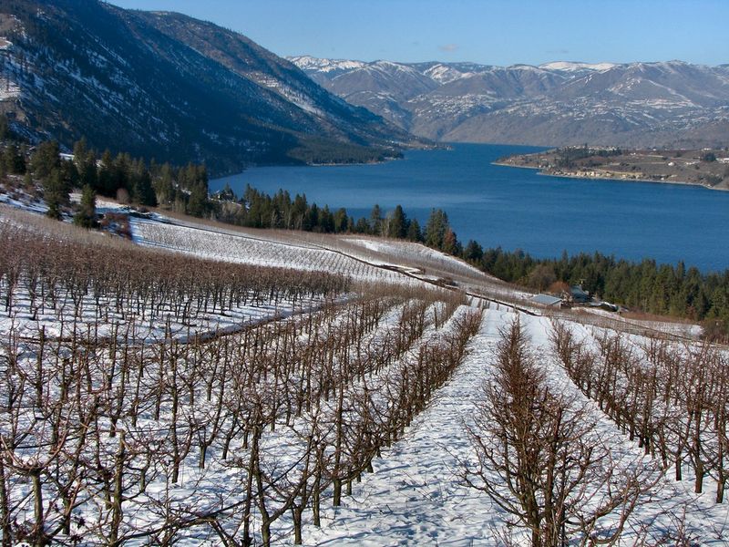 Chelan / Lake Chelan, Washington — Lakeshore, orchards, and tasting rooms