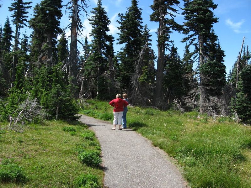 Olympic National Park