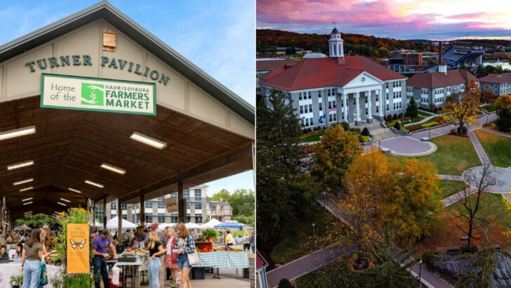 Near the edge of the Shenandoah stands a Virginia town that delivers small-city energy with mountain access