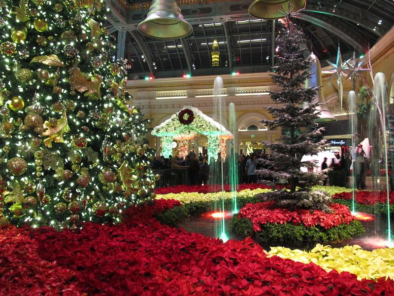 Nevada – Las Vegas’ Bellagio Conservatory Holiday Display