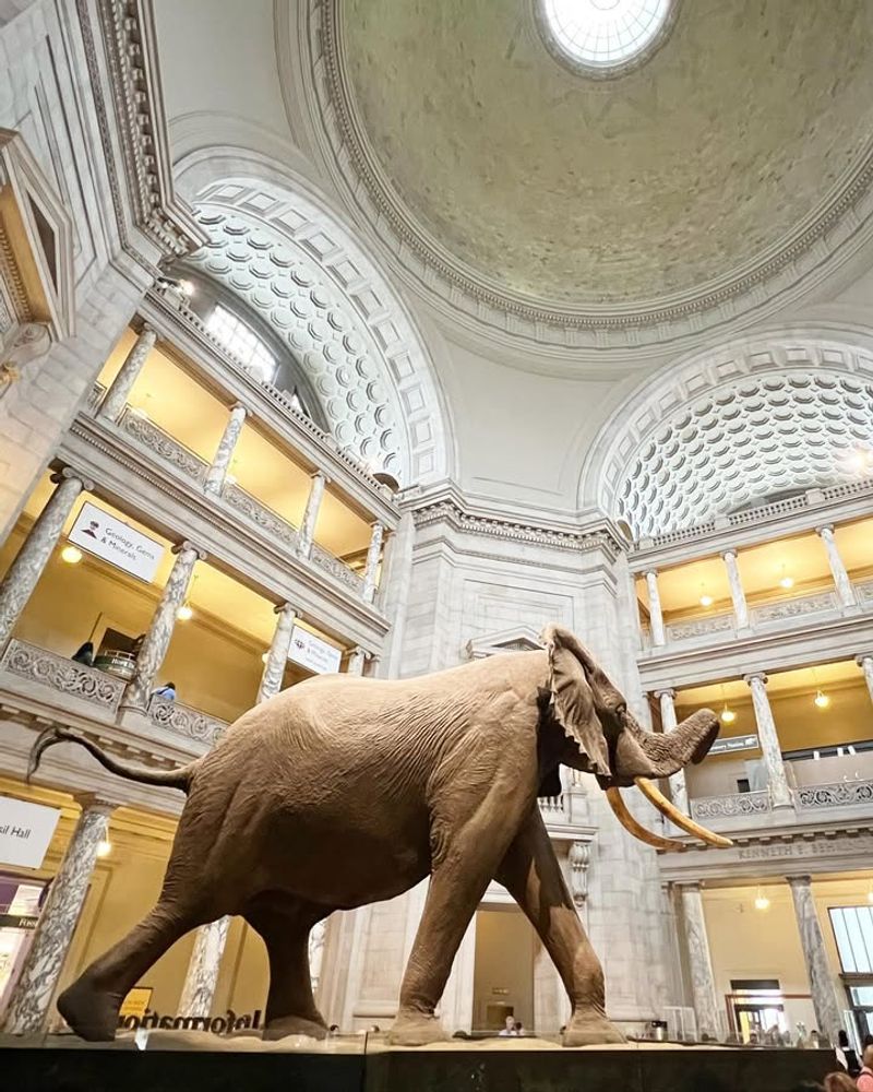 Holiday markets and family craft events at local museums