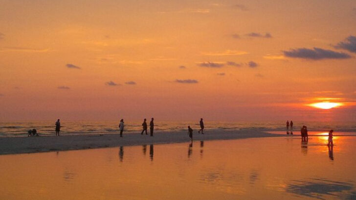 North of Tampa sits a Gulf Coast town with beaches, state parks, and enough seafood spots for a multi-day stay