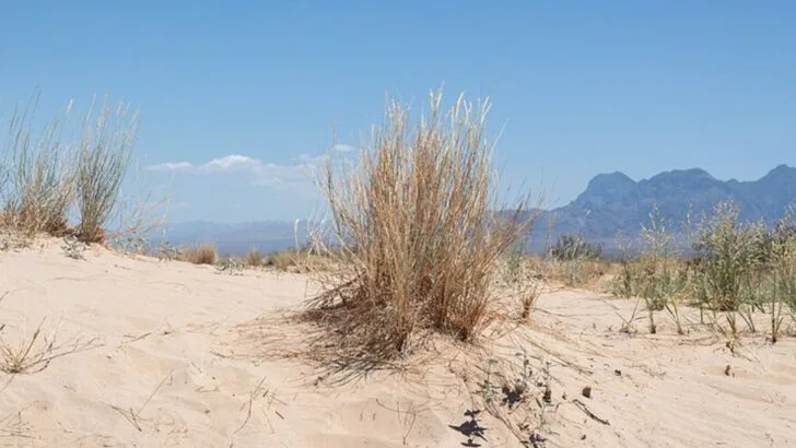 Off-season hiking is bringing new crowds to these 13 desert destinations in December