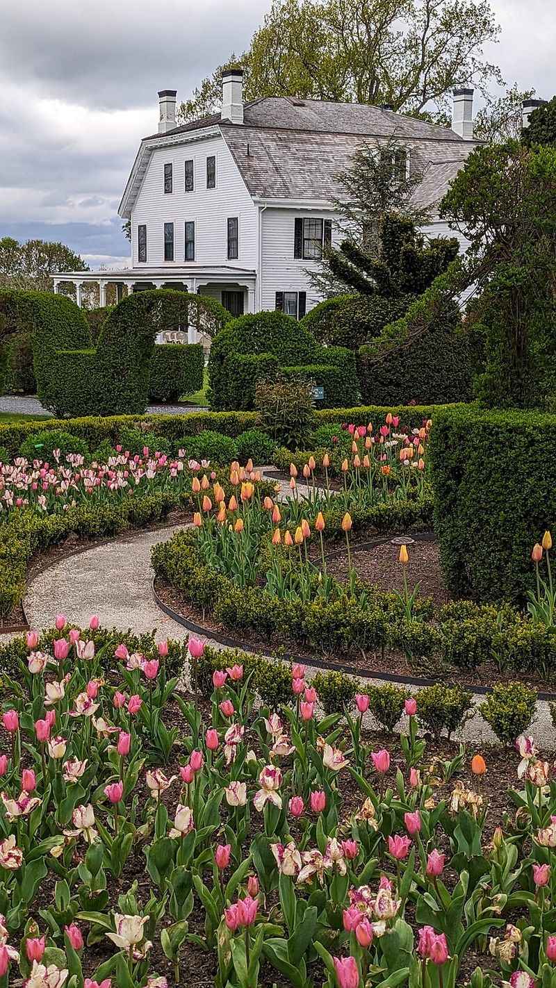 Rhode Island – Green Animals Topiary Garden, Portsmouth