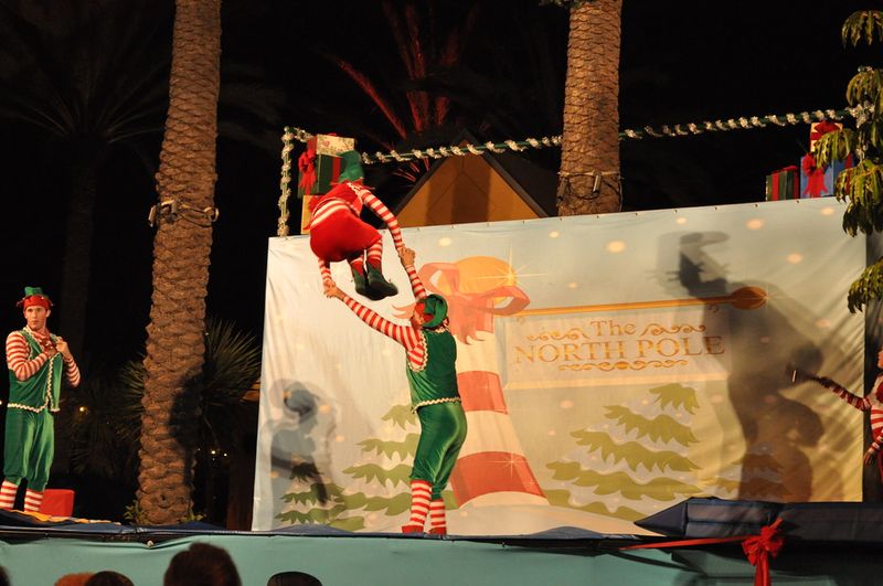 San Diego Zoo Jungle Bells